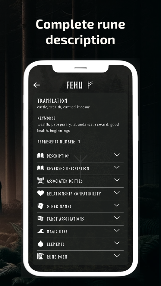 #10. Way of The Runes: Norse Rune (iOS) بواسطة: Elvis Baltais