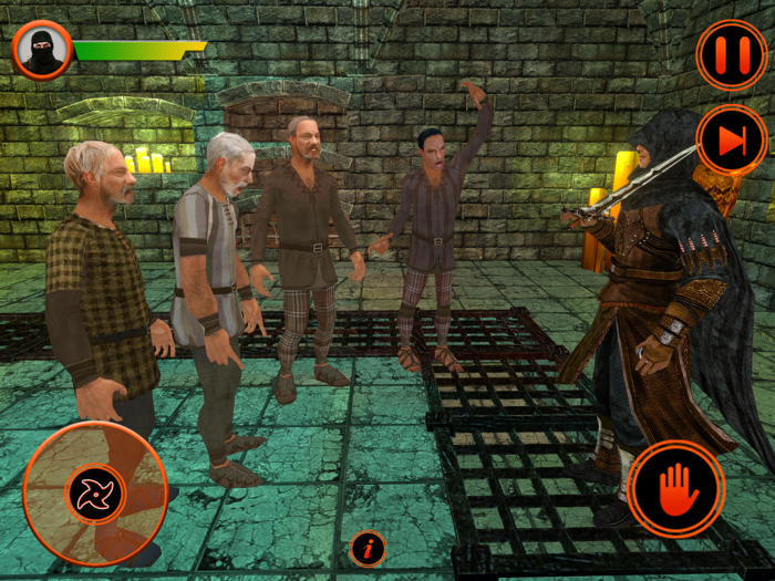 Ninja Assassin Stealth Warrior