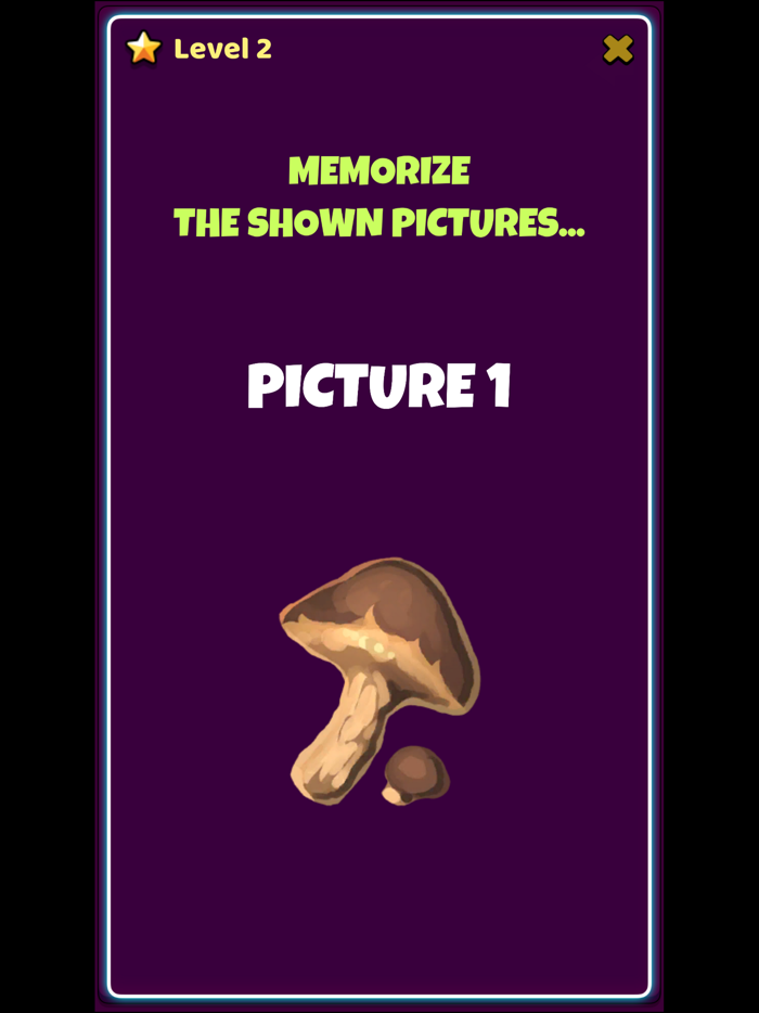 Zeka Oyunları Hafıza Maratonu