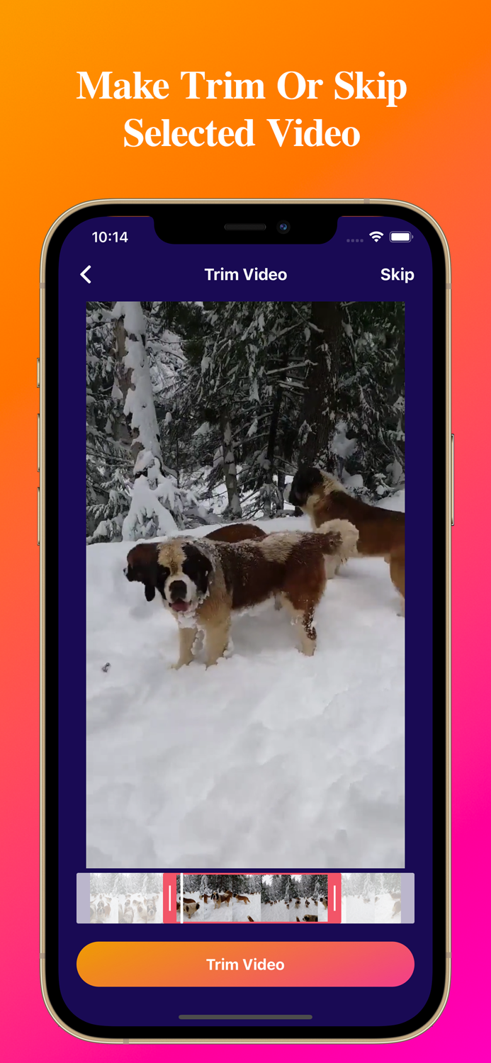 Video To Live Wallpapers