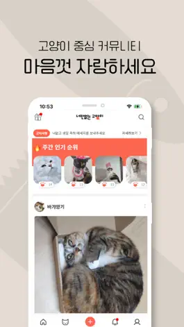 Game screenshot 너만없는 고양이 hack