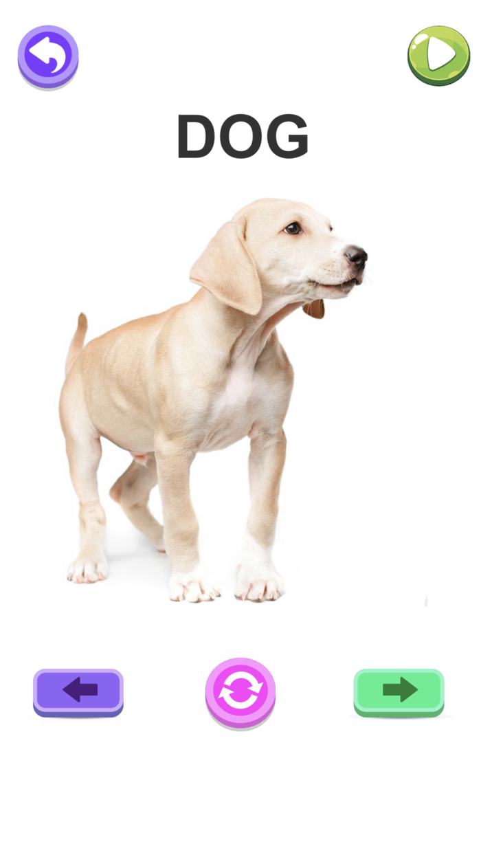 ABC Words - Spelling and Phonics