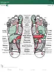 reflexology chart iPad Captures Décran 3