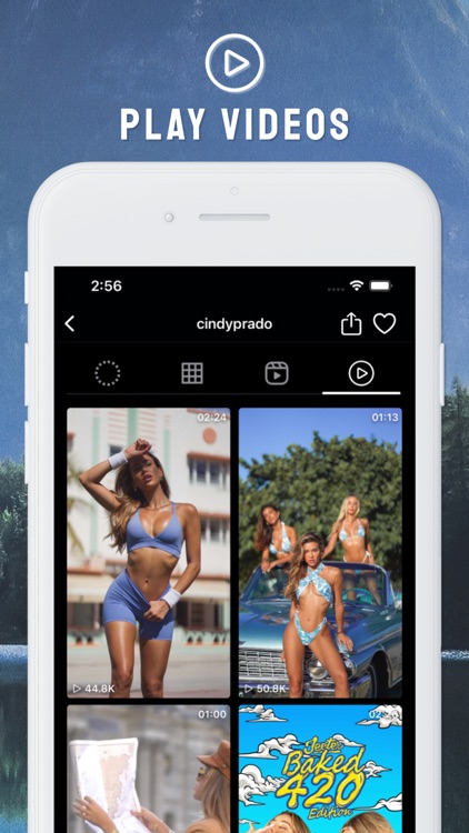 Profile Story Viewer by Poze screenshot-4