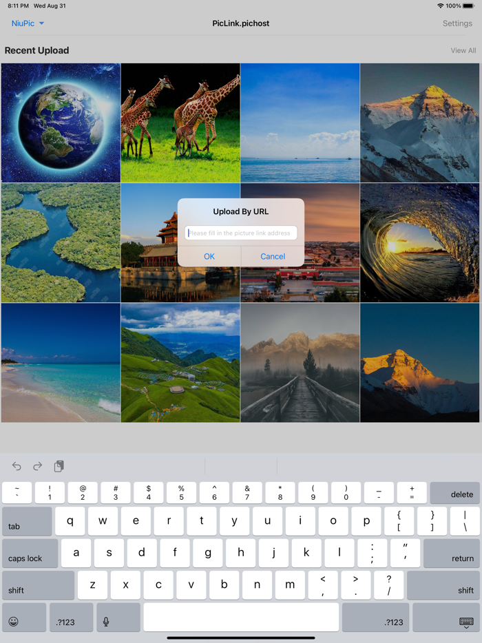 PicLink-Best image Hosting App