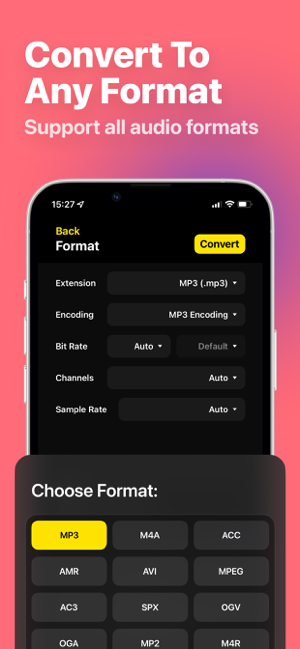 ‎Audio Converter· Screenshot