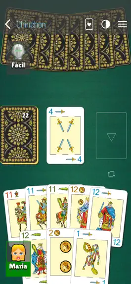 Game screenshot Chinchon cards apk