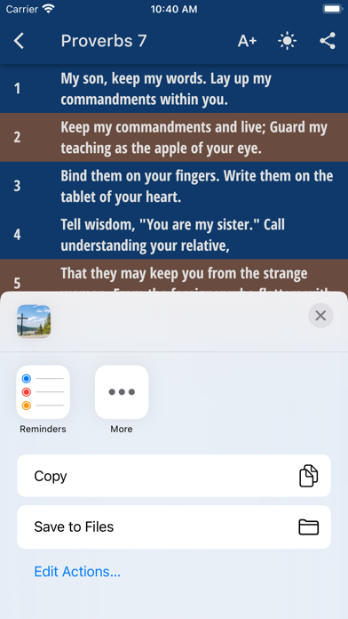 WEB Bible - Saddle Lights Screenshot
