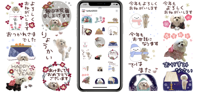 トイプードルるんるん＊年末年始