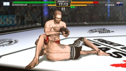 Boxing Star Fighting Screenshot