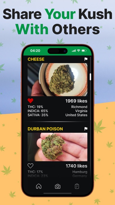 Weed Identifier App: Kush Scan Screenshot