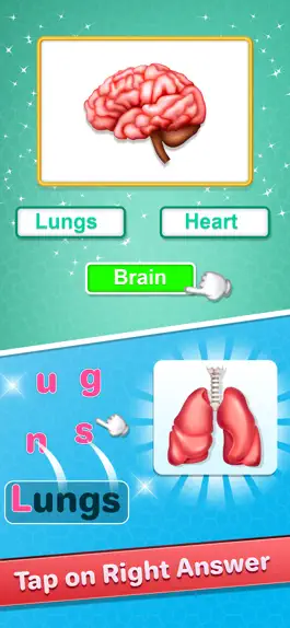 Game screenshot Human Body Parts Kids Learning apk