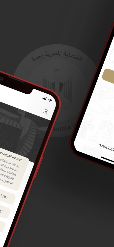 القنصلية المصرية بجدة screenshot 2