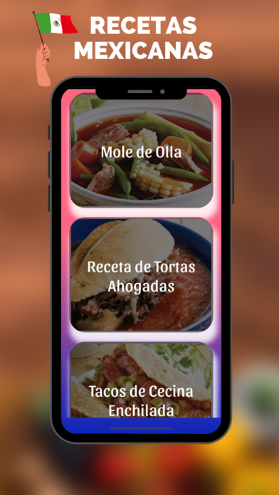 Recetas de Comidas Mexicanas Screenshot