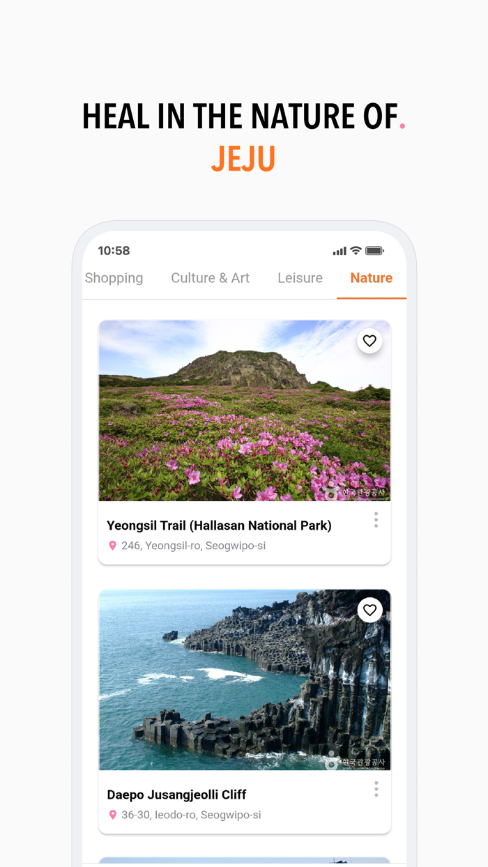 Secret JEJU Korea Tour Guide