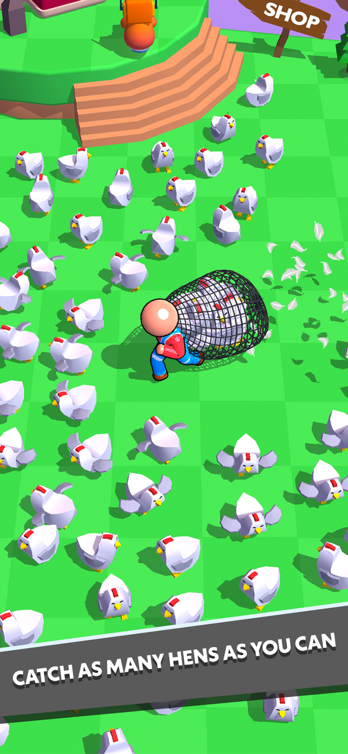 Catch The Hen 3D