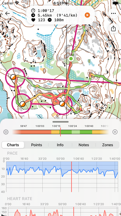 Control Orienteering Analysis Screenshot