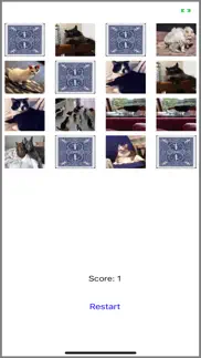 memory training: cats iphone screenshot 1