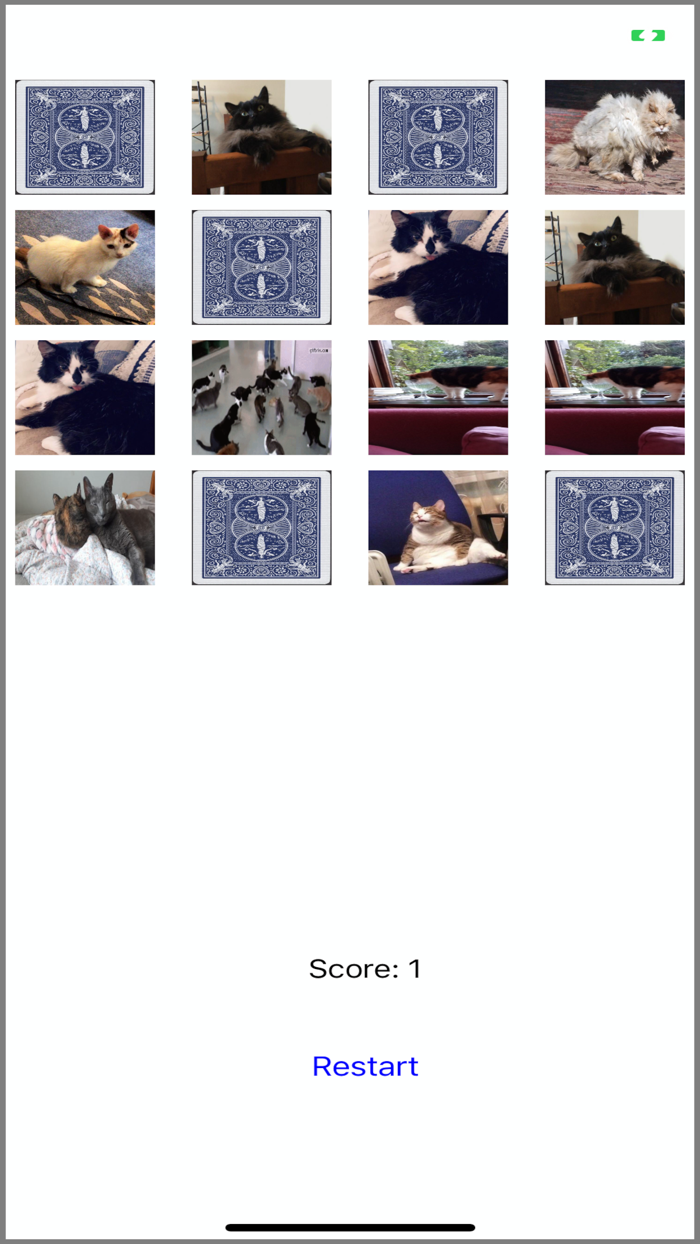 Memory Training Cats