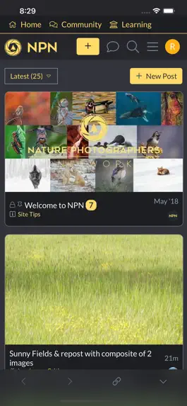 Game screenshot NPN apk