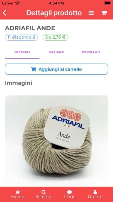 Centro Singer Arezzo Screenshot