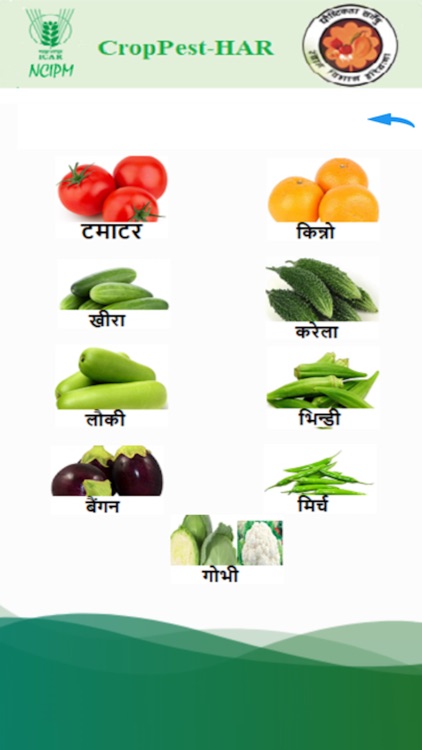 crop pest haryana screenshot-3