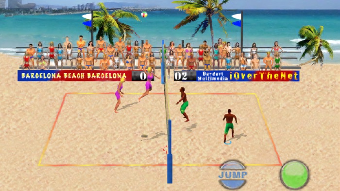 Over The Net Beach Volleyball