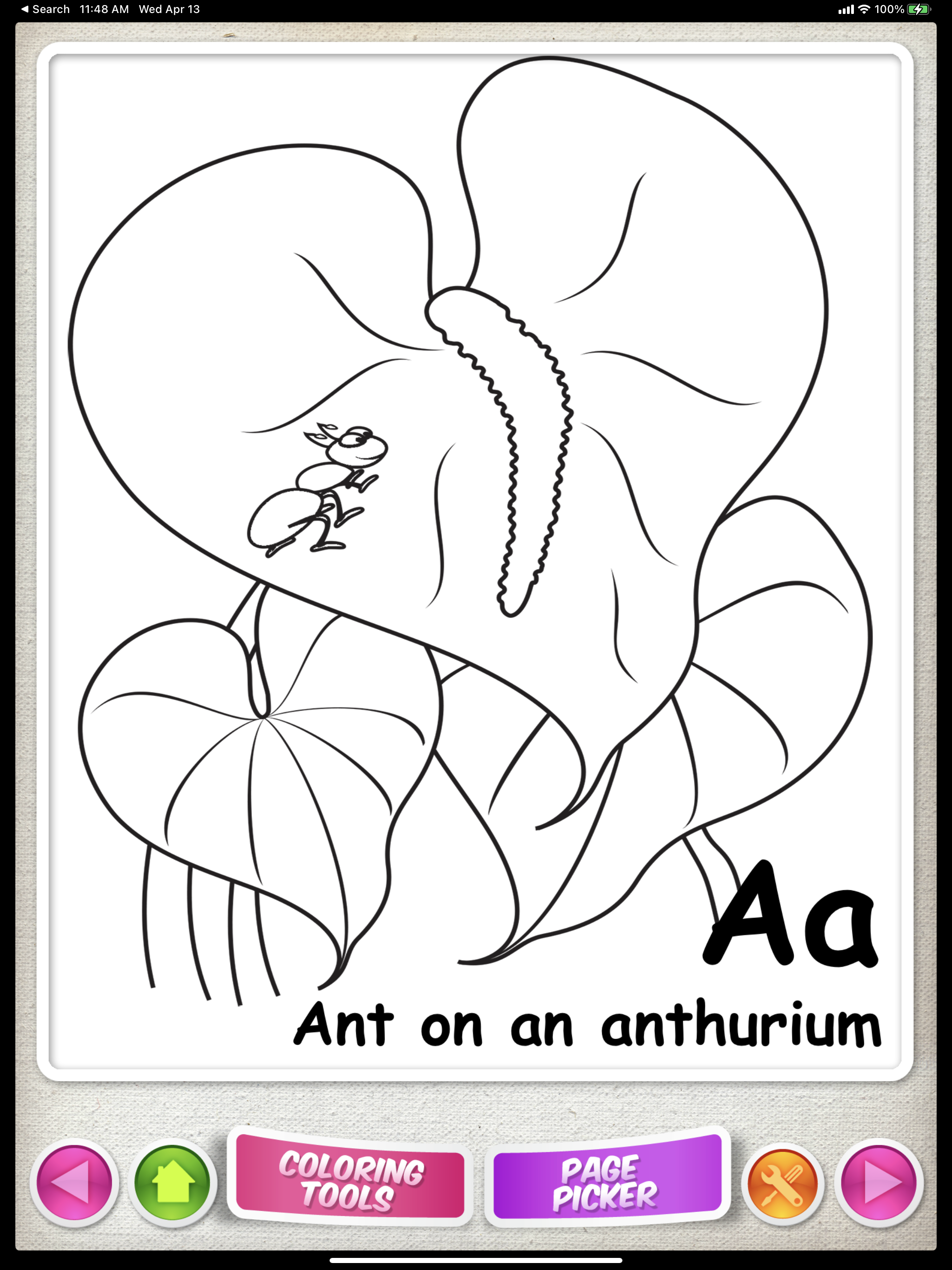 Pihana ABCs