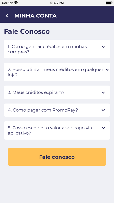 PromoPay Screenshot