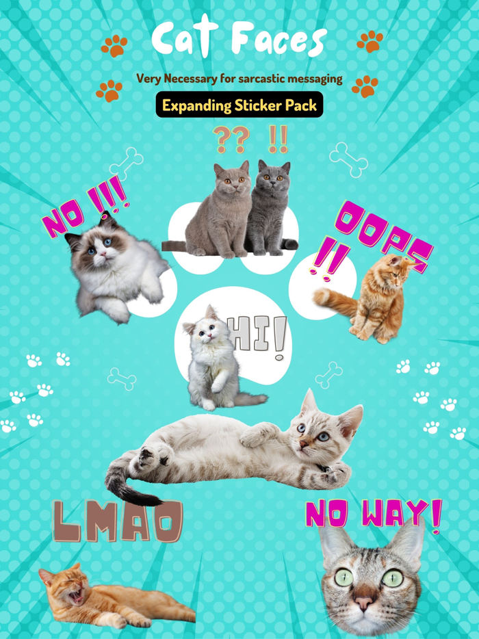 Very Necessary Cat Reactions