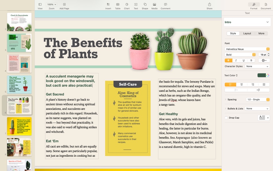 #5. Pages (macOS) Av: Apple