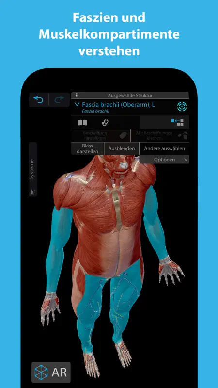 Muscles & Kinesiology screenshot 4 of 5