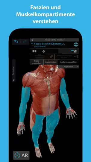 Screenshot von Muskeln & Kinesiologie auf dem iPhone 4