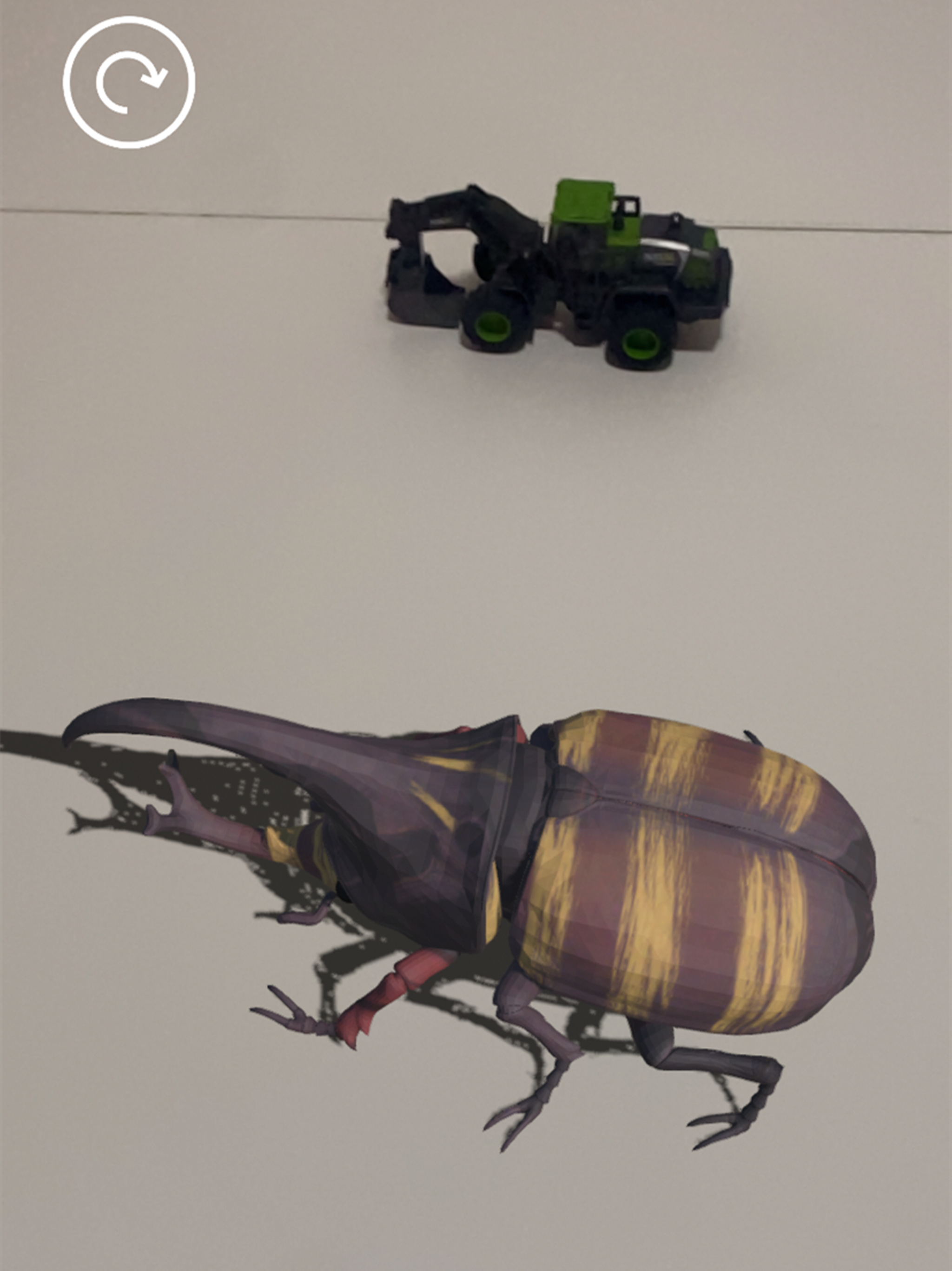 Insectes AR