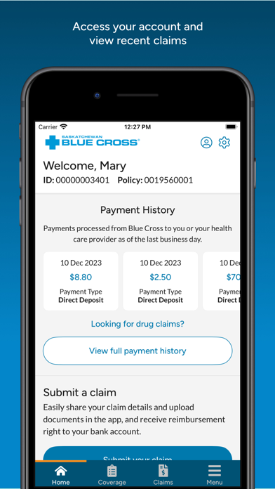 SK Blue Cross: Group Screenshot