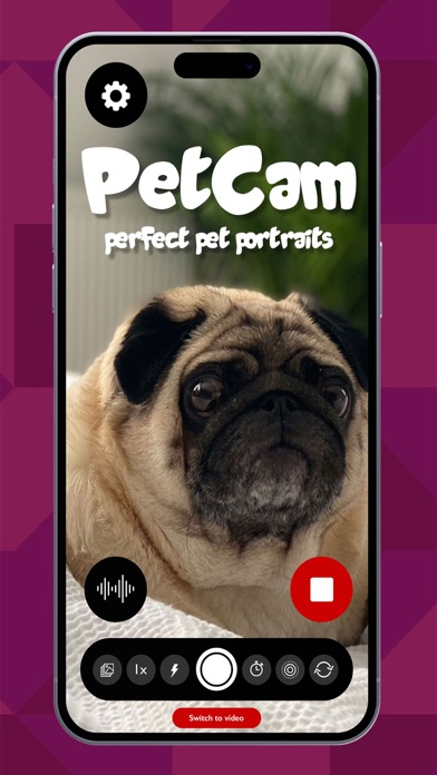 PetCam - Perfect Pet Portraitsのおすすめ画像1