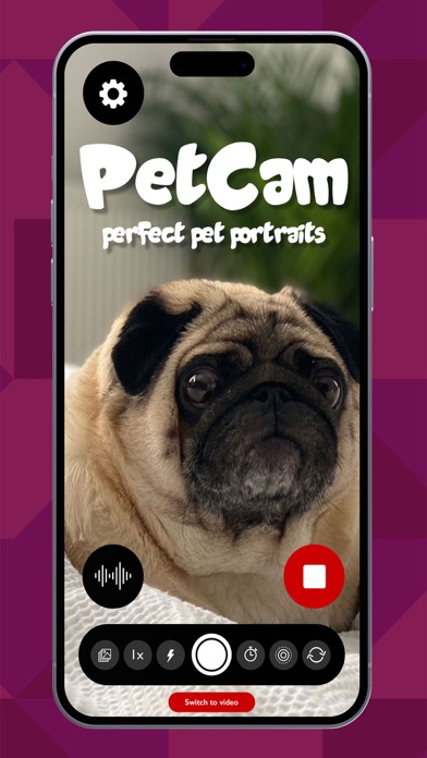 PetCam - Perfect Pet Portraits Screenshot
