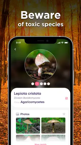Game screenshot Mushroom ID: Fungus Identifier mod apk