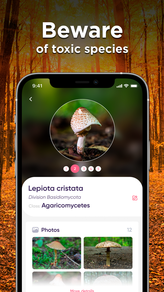 #1. Mushroom Identifier: Photo ID (iOS) 由: Picture & Photo Identifier Company LTD