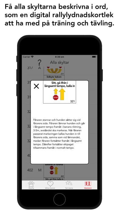 Rallyslingan Screenshot
