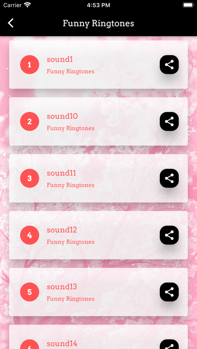 Cute Cat Sounds Screenshot