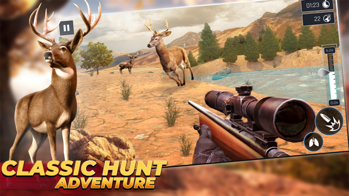 Animal Hunting Classic Games