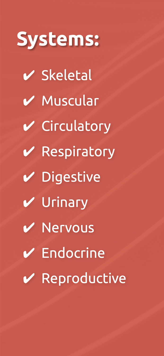 Anatomix - Human Body Game