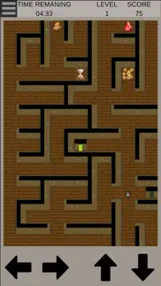 find the path: a maze game iphone screenshot 1
