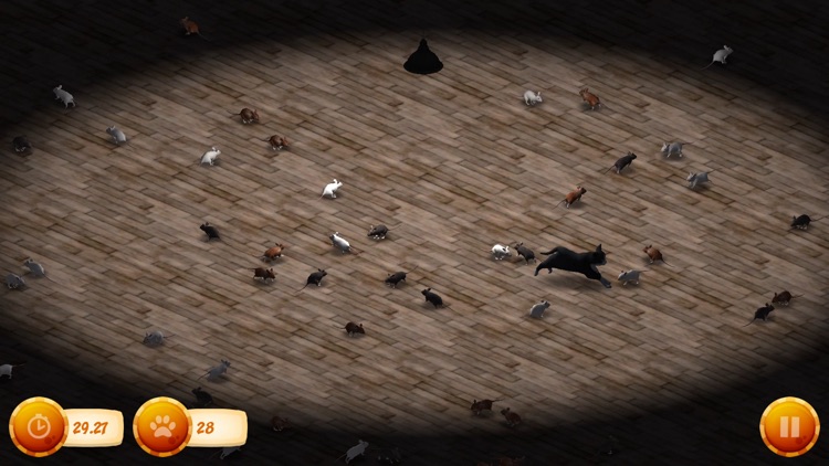 Scaredy Cat : Face Your Fears