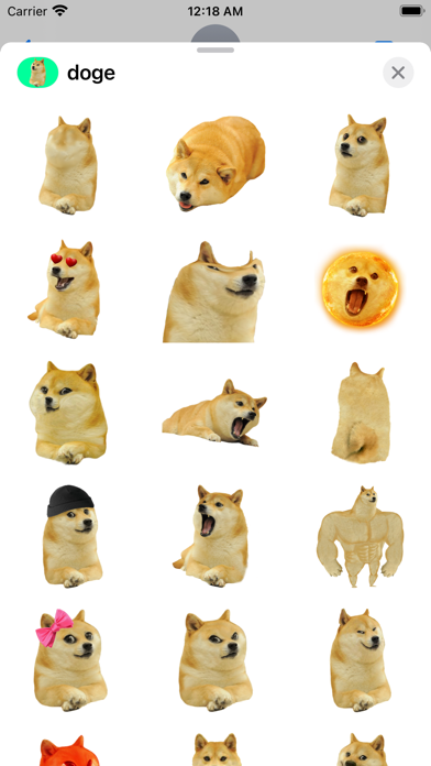such doge Screenshot