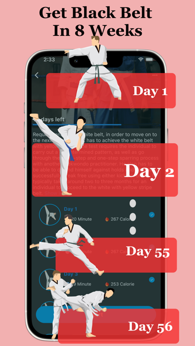Taekwondo Workout At Home Screenshot