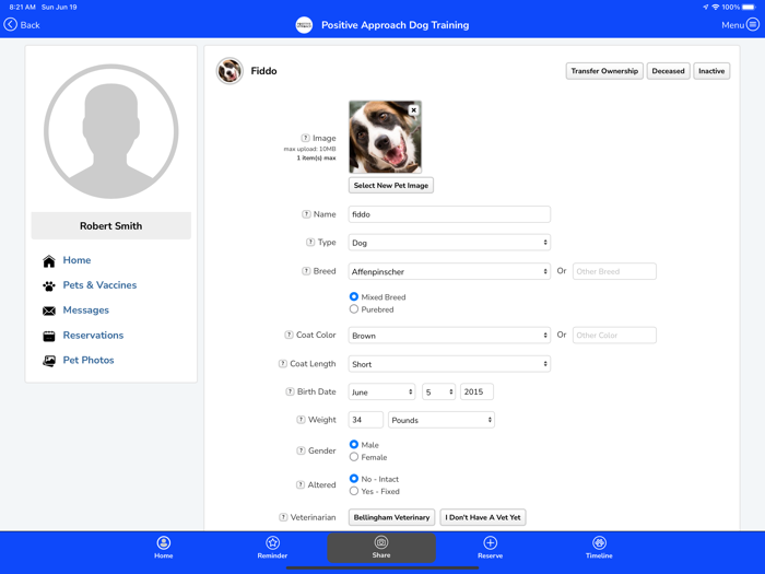 Positive Approach Dog Training