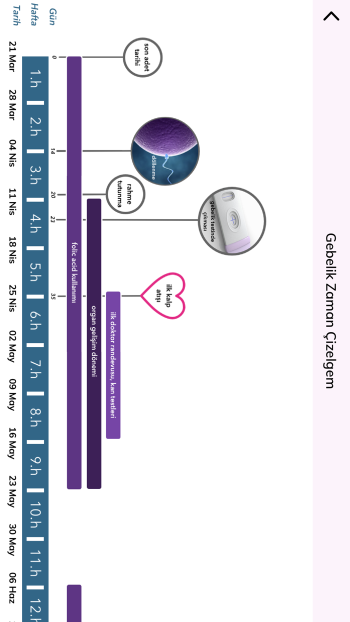 Op.Dr. Banu Çiftçi and Hamilelik