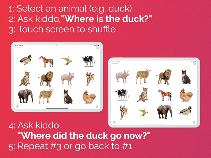 REX Receptive Expressive ID